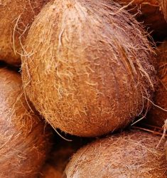 coconut-g7877190b0_640