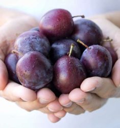 plums